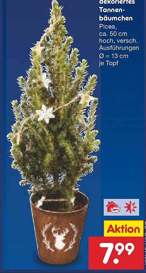 Dekoriertes Tannenbäumchen Picea, ca. 50 cm hoch