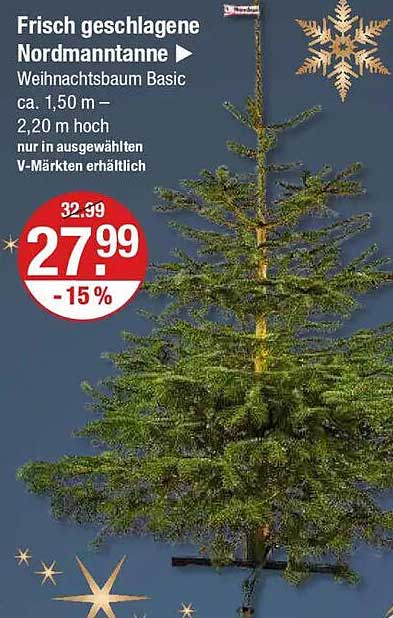 Frisch geschlagene Nordmanntanne Weihnachtsbaum Basic 1,50 m – 2,20 m hoch
