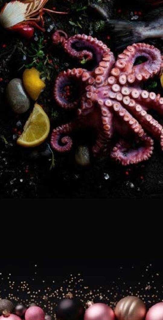 Frischer Oktopus – Edle Meeresfrucht für Feinschmecker