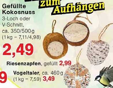 Gefüllte Kokosnuss zum Aufhängen