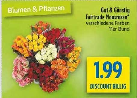 Gut & Günstig Fairtrade Moosrosen – verschiedene Farben 11er Bund