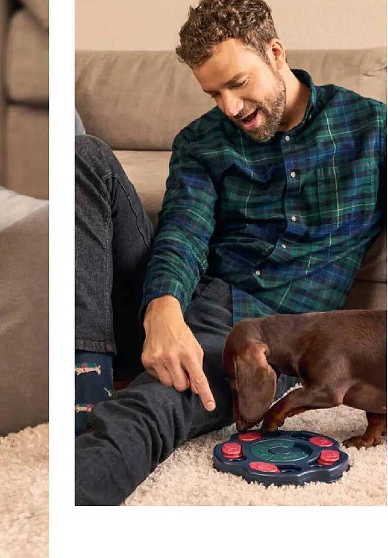 Interaktives Futterspielzeug für Hunde