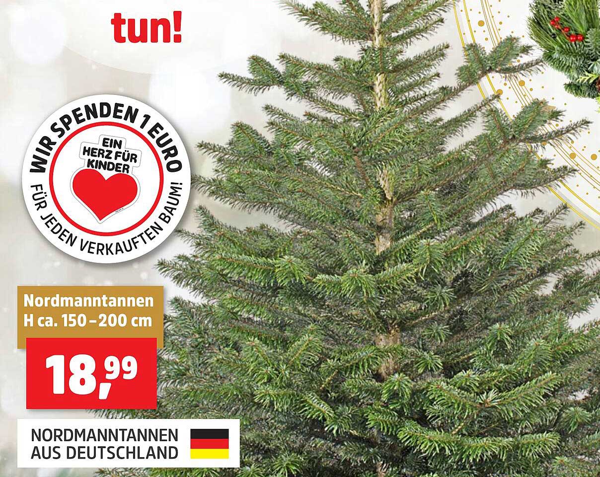 Nordmanntannen H ca. 150-200 cm