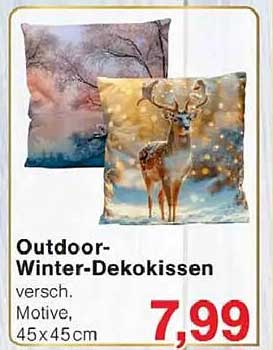 Outdoor-Winter-Dekokissen, verschieden Motive, 45x45 cm