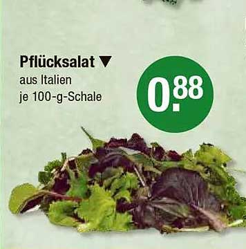 Pflücksalat aus Italien je 100-g-Schale