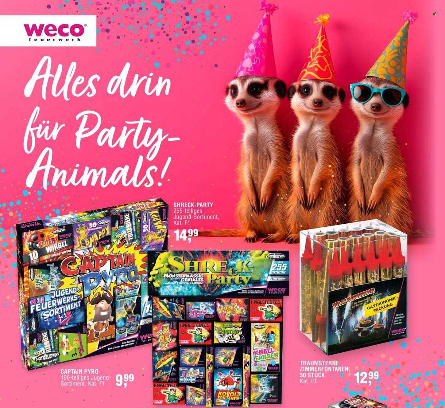 SHRECK-PARTY 255-teiliges Jugend-Sortiment, Kat. F1