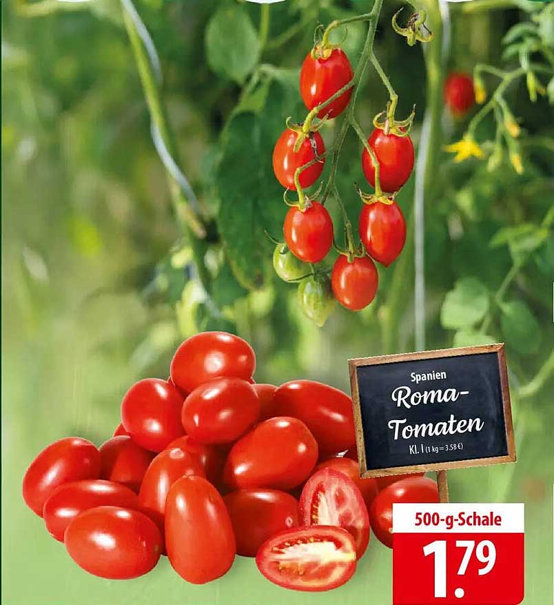 Spanien Roma-Tomaten 500-g-Schale