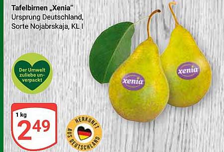 Tafelbirnen „Xenia“ - Ursprung Deutschland, Sorte Nojabrskaja