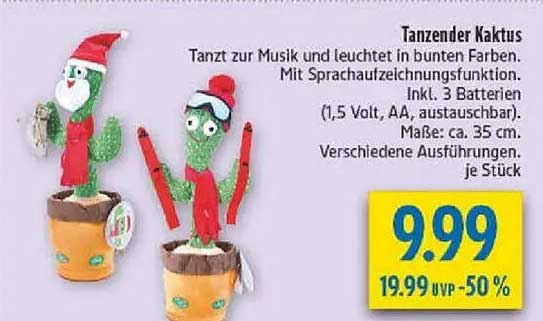Tanzender Kaktus