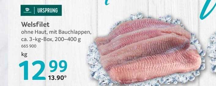 Welsfilet ohne Haut, mit Bauchlappen, ca. 3-kg-Box, 200–400 g