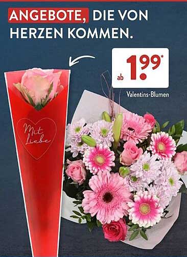 Wunderbar Blumen Bei Aldi Diese Woche Bild