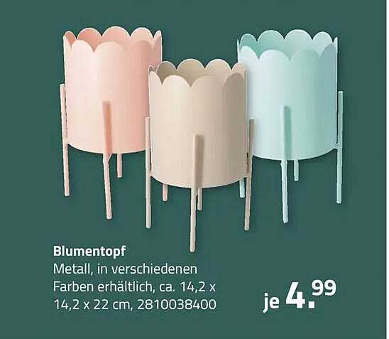 Blumentopf