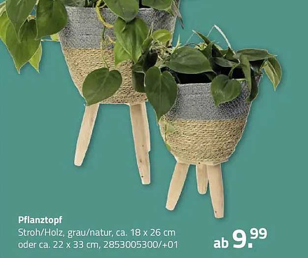 Pflanztopf