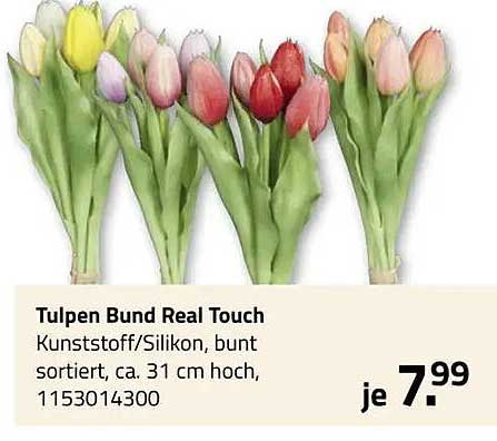 Tulpen Bund Real Touch