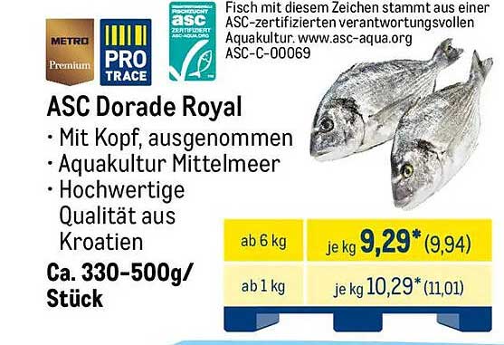 ASC Dorade Royal - Mit Kopf, ausgenommen