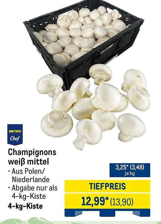 Sitemapcdatahttpsshopinf Inetcomoronge Champignon Prix Au Kilo