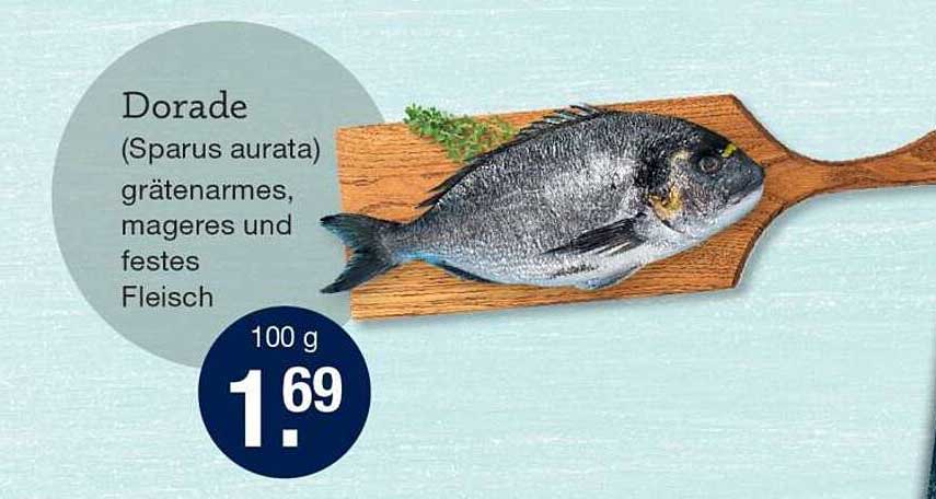 Dorada (Sparus aurata) - grätenarmes, mageres und festes Fleisch