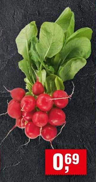 Frische Radieschen