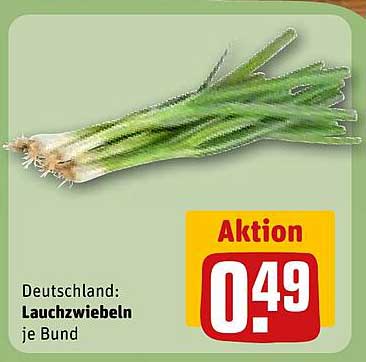 Lauchzwiebeln je Bund