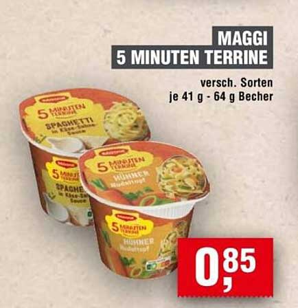 MAGGI 5 MINUTEN TERRINE - Verschiedene Sorten