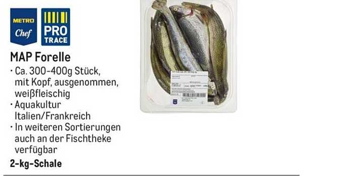 MAP Forelle 2-kg-Schale