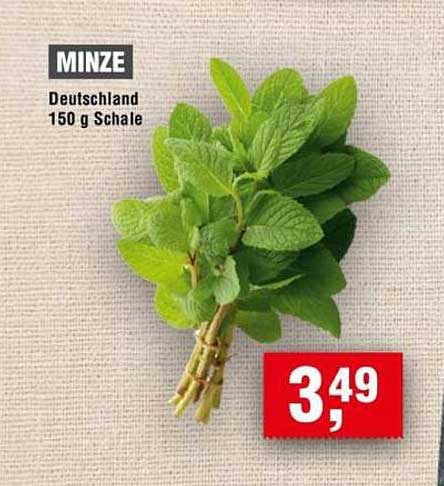 MINZE 150 g Schale aus Deutschland