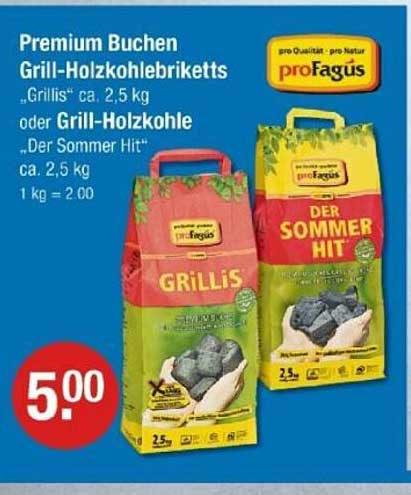 Premium Buchen Grill-Holzkohlebriketts "Grillis" oder Grill-Holzkohle "Der Sommer Hit"