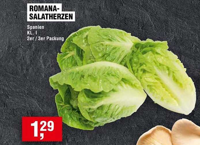 ROMANA-SALATHERZEN