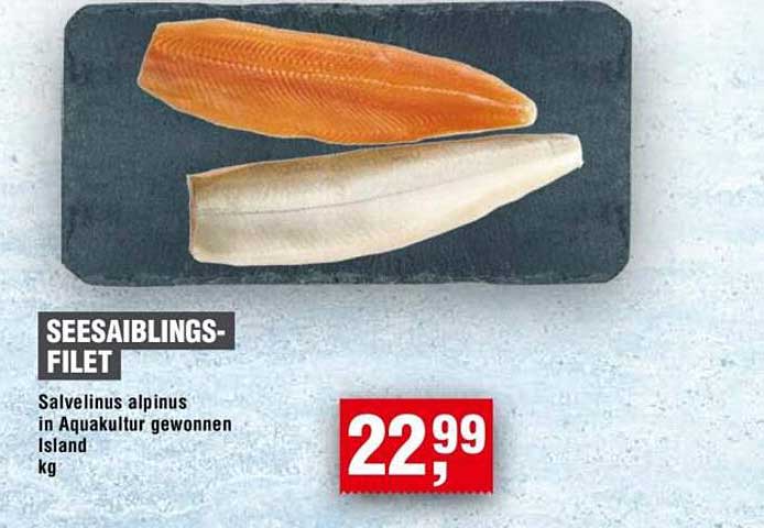 SEESAIBLINGS-FILET - Salvelinus alpinus in Aquakultur gewonnen aus Island