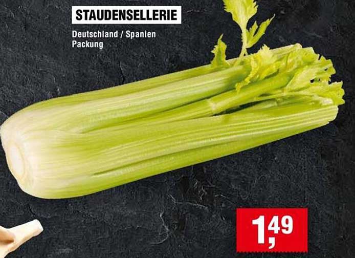 STAUDENSELLERIE Deutschland / Spanien