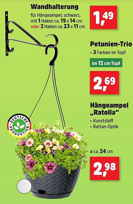 Wandhalterung für Hängeampel, Petunien-Trio und Hängeampel „Ratolla“