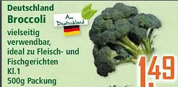 Deutschland Broccoli vielseitig verwendbar, ideal zu Fleisch- und Fischgerichten Kl.1 500g Packung