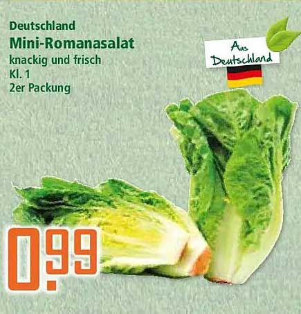 Deutschland Mini-Romanasalat knackig und frisch Kl. 1 2er Packung