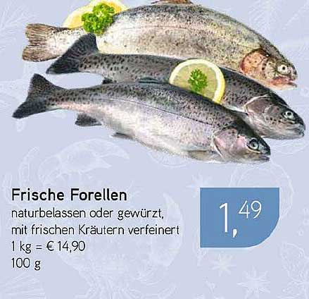 Frische Forellen