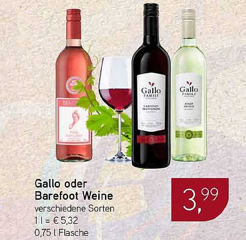 Gallo oder Barefoot Weine