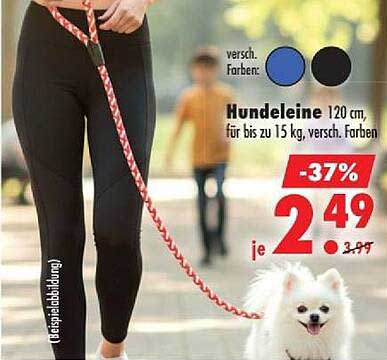 Hundeleine 120 cm, für bis zu 15 kg, versch. Farben