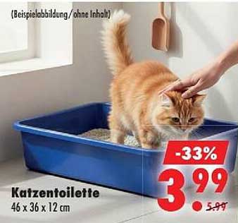 Katzentoilette