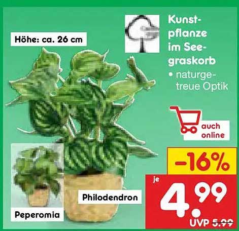 Kunstpflanze im See-graskorb