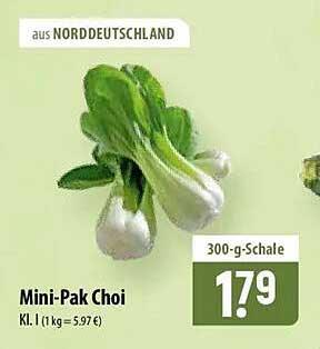 Mini-Pak Choi