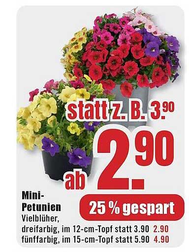 Mini-Petunien Vielblütiger, dreifarbig, im 12-cm-Topf statt 3.90 2.90 fünf­farbig, im 15-cm-Topf statt 5.90 4.90