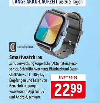 Smartwatch IQN