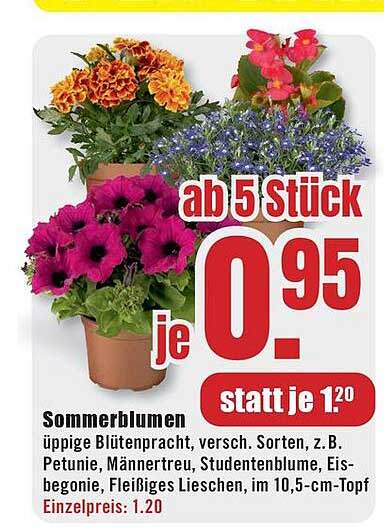 Sommerblumen