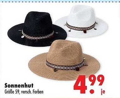 Sonnenhut
