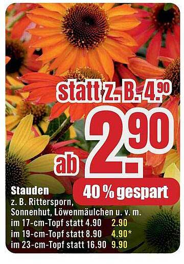 Stauden