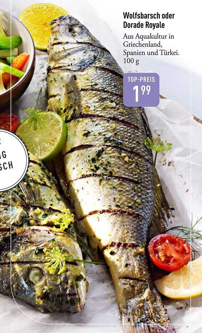 Wolfsbarsch oder Dorade Royale
