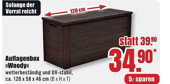 Auflagenbox »Woody«