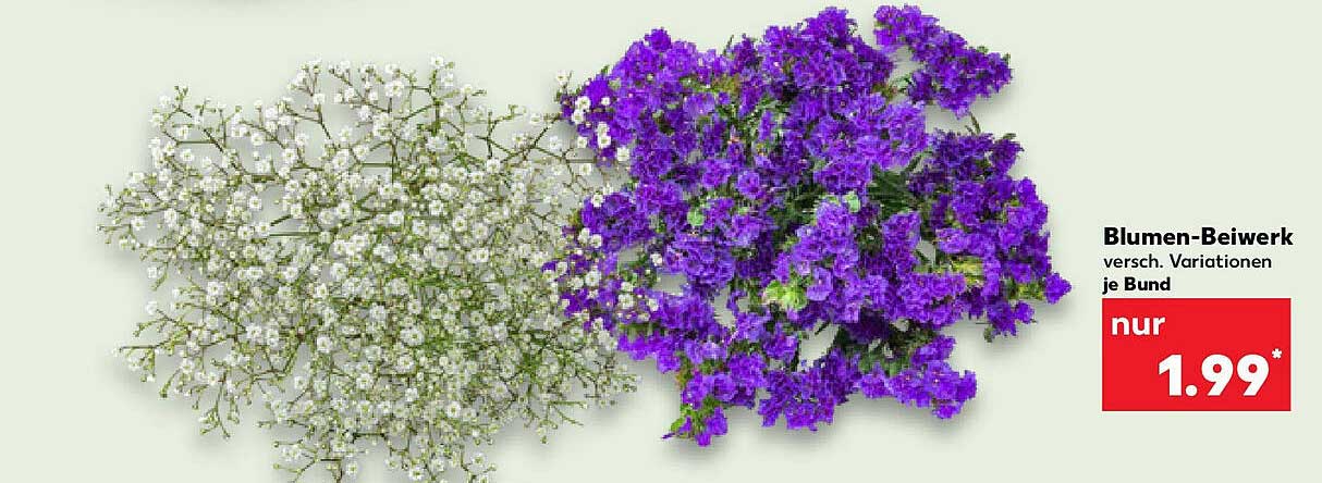 Blumen-Beiwirk, verschiedene Variationen je Bund