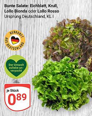 Bunte Salate: Eichblatt, Krull, Lollo Bionda oder Lollo Rosso