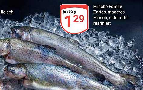 Frische Forelle – Zartes, mageres Fleisch, natur oder mariniert