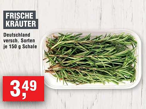 FRISCHE KRÄUTER - Deutschland verschieden. Sorten je 150 g Schale